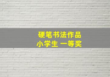 硬笔书法作品小学生 一等奖